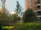 【免稅房】弘信嘉禾園 文苑路 芭茅小學(xué) 916學(xué)區(qū) 毛坯