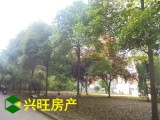 【免稅房】廣匯花園 雷池路 中興小學(xué) 十六中學(xué)區(qū) 毛坯